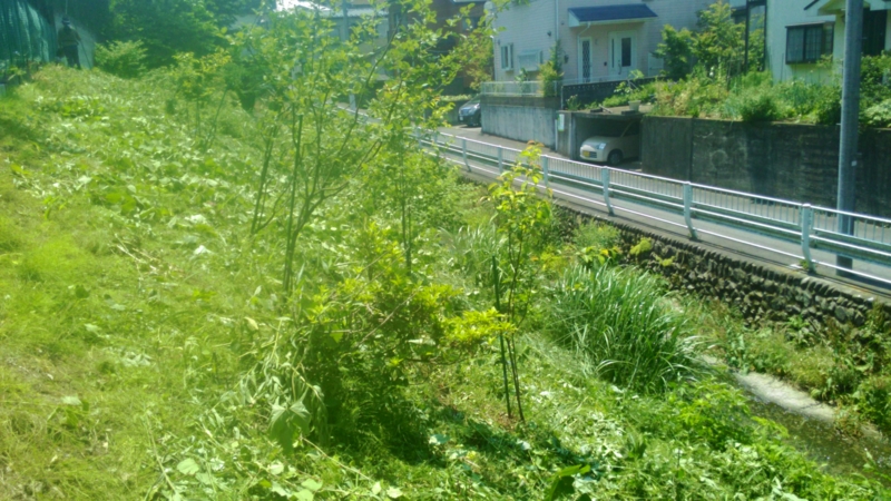 f:id:itablog:20150526120414j:image