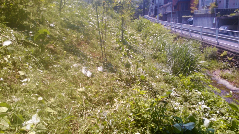f:id:itablog:20150526120445j:image