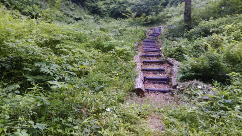 f:id:itablog:20150623121856j:image