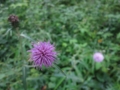 f:id:itablog:20150829145936j:image:medium