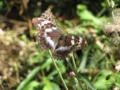f:id:itablog:20151004203210j:image:medium