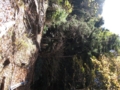 f:id:itablog:20151128215140j:image:medium