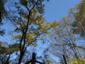 f:id:itablog:20151201122628j:image:medium