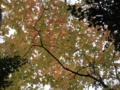 f:id:itablog:20151206115157j:image:medium