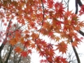 f:id:itablog:20151206123636j:image:medium