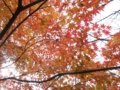 f:id:itablog:20151206123701j:image:medium