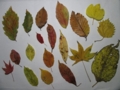 f:id:itablog:20151206193028j:image:medium