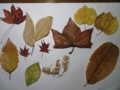 f:id:itablog:20151206193030j:image:medium