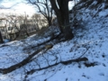 f:id:itablog:20160126100248j:image:medium