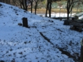 f:id:itablog:20160126115733j:image:medium
