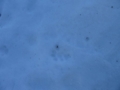 f:id:itablog:20160126210627j:image:medium