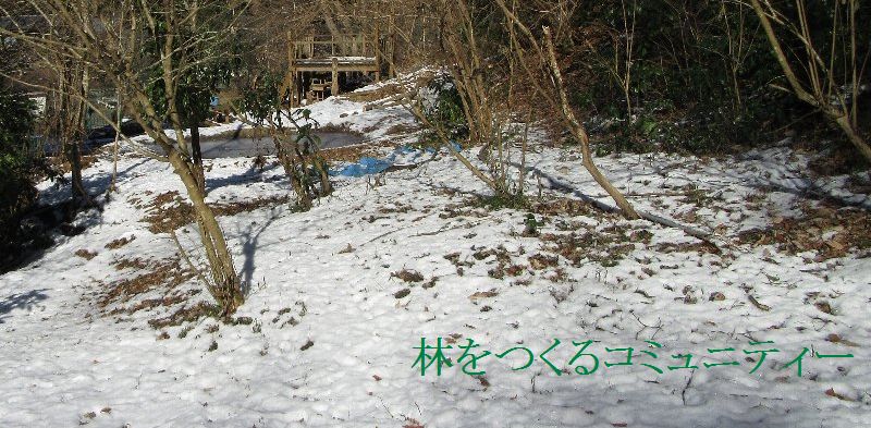f:id:itablog:20160127165409j:image:w360