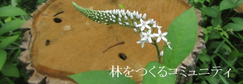 f:id:itablog:20170709153425j:image:w360