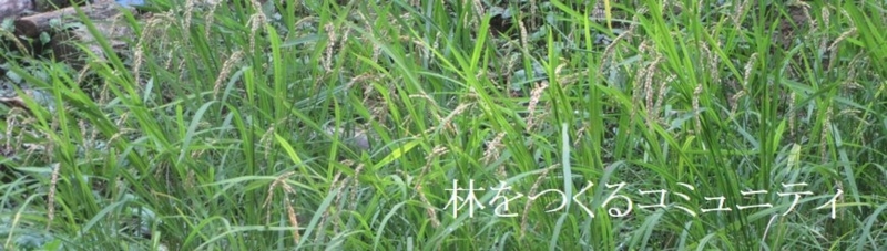 f:id:itablog:20171010125854j:image:w360