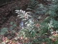 f:id:itablog:20171111103347j:image:medium f:id:itablog:20171111103347j:image:medium