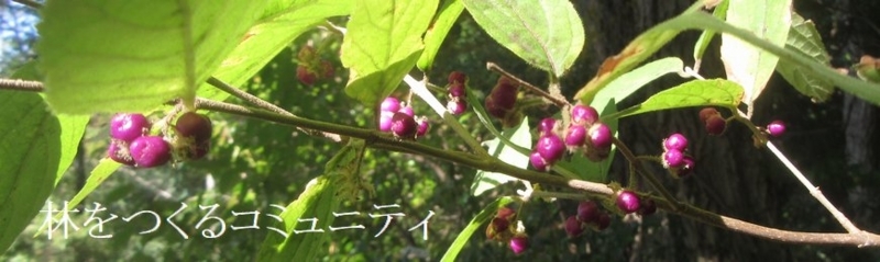 f:id:itablog:20171115154305j:image:w360