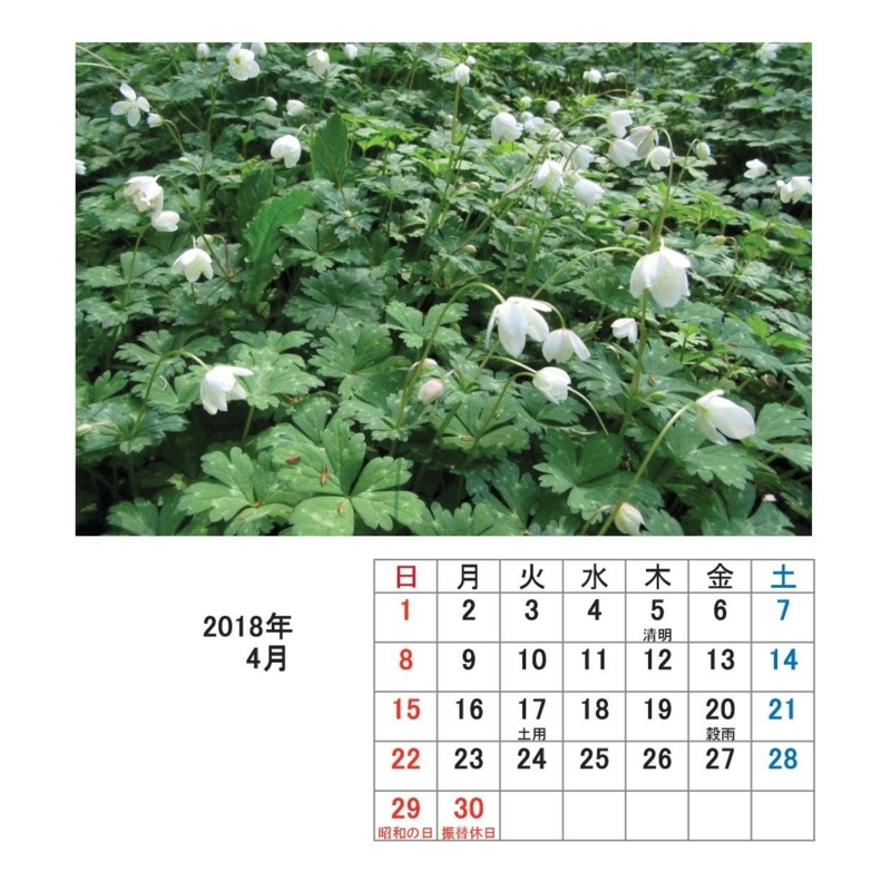 f:id:itablog:20171213115648j:image:w150