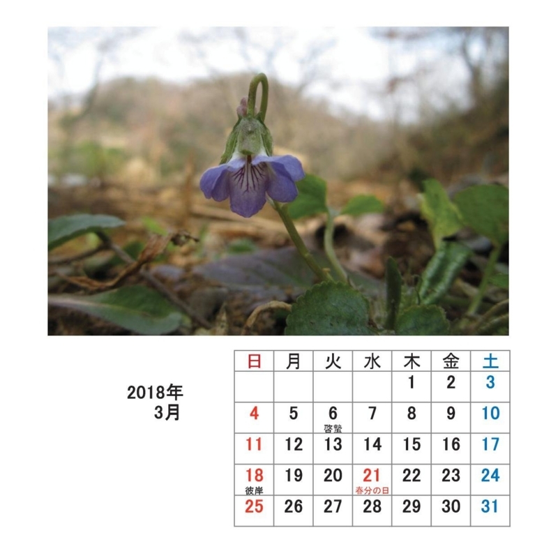 f:id:itablog:20171213115652j:image:w150