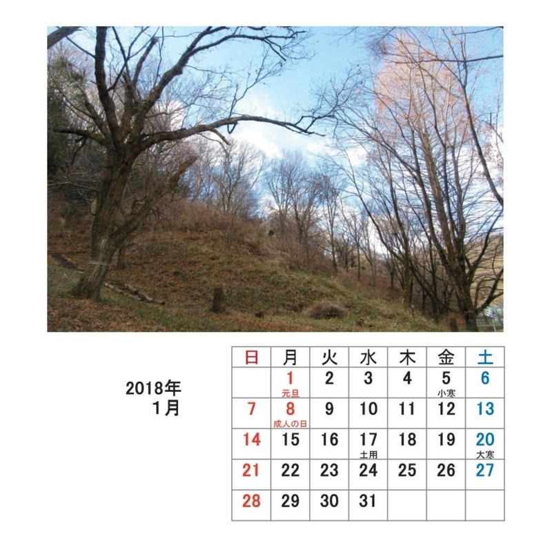 f:id:itablog:20171213115659j:image:w150
