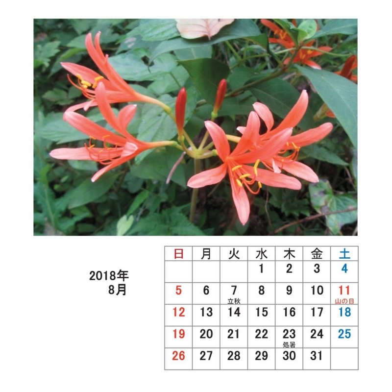 f:id:itablog:20171213175105j:image:w150