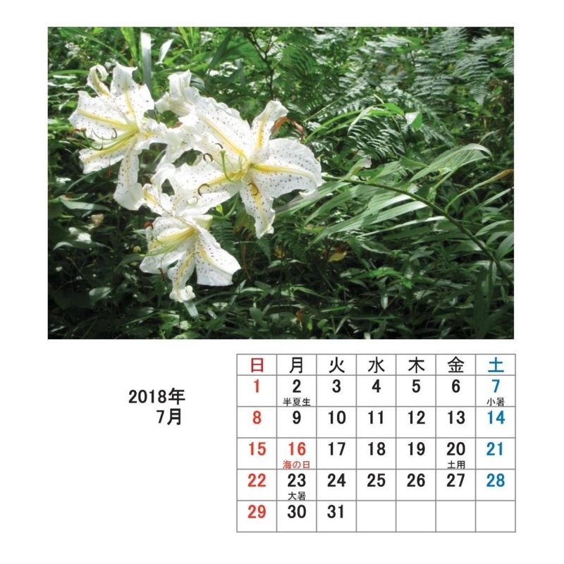 f:id:itablog:20171213175109j:image:w150