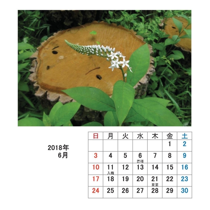 f:id:itablog:20171213175113j:image:w150