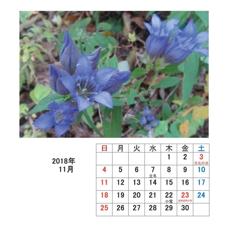 f:id:itablog:20171213190153j:image:w150