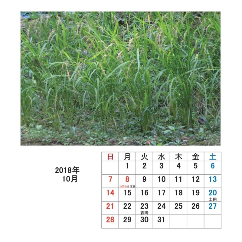 f:id:itablog:20171213190200j:image:w150