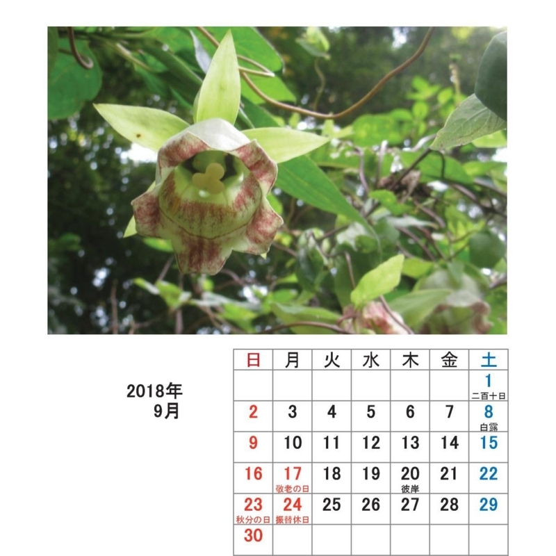 f:id:itablog:20171213190206j:image:w150