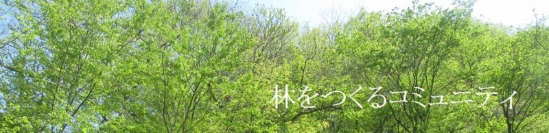f:id:itablog:20180411132012j:image:w360