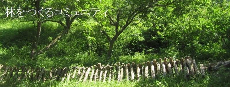 f:id:itablog:20180522135932j:image:w360