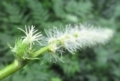 f:id:itablog:20180609102759j:image:medium