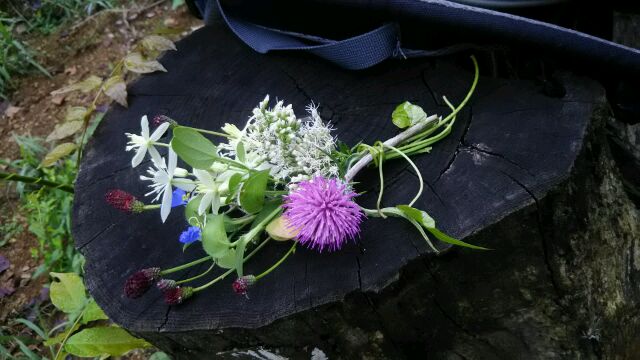 f:id:itablog:20180828110302j:image