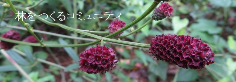 f:id:itablog:20180901131928j:image:w360