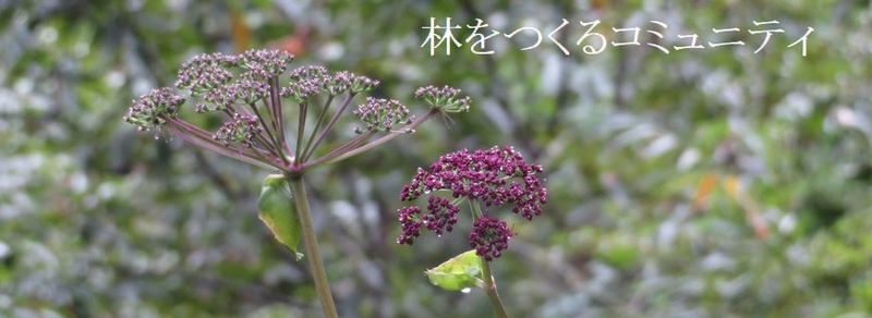 f:id:itablog:20181006100844j:image:w360