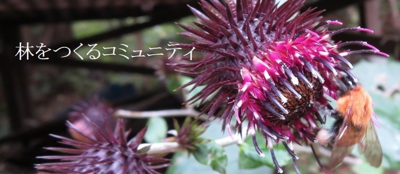 f:id:itablog:20181023102333j:image:w360
