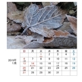 f:id:itablog:20181224232313j:image:medium