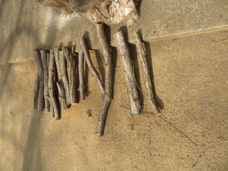 f:id:itablog:20190226202223j:plain