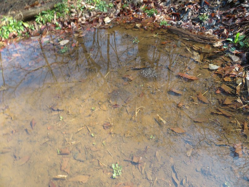 f:id:itablog:20190312101209j:plain