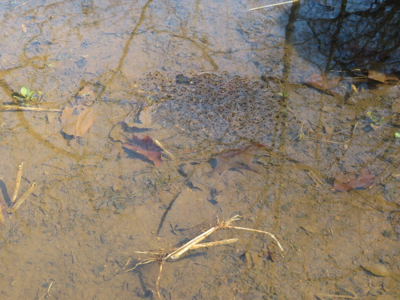 f:id:itablog:20190312101257j:plain