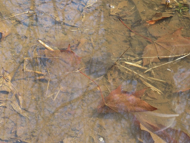 f:id:itablog:20190312101341j:plain