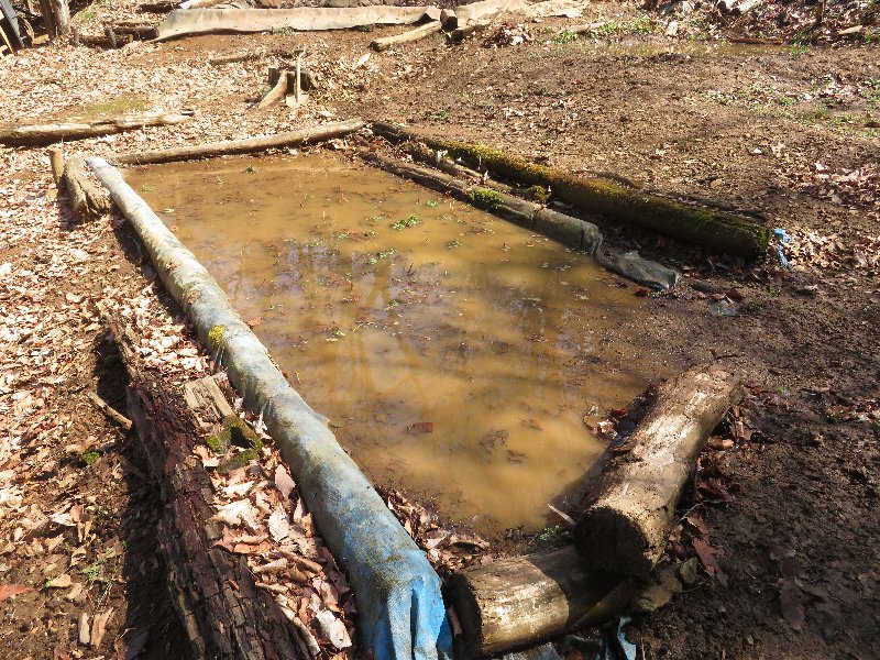 f:id:itablog:20190312110449j:plain