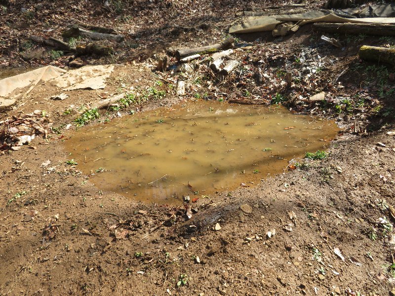 f:id:itablog:20190312110458j:plain