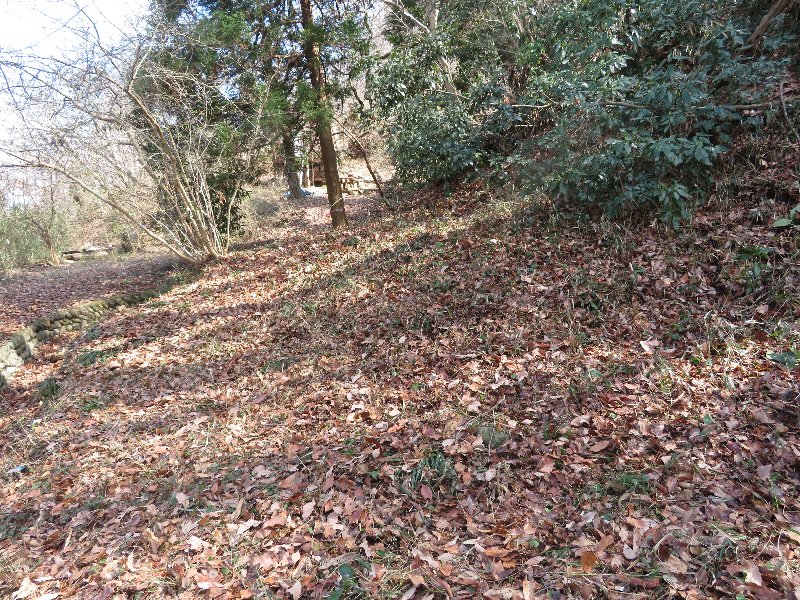 f:id:itablog:20190312120443j:plain