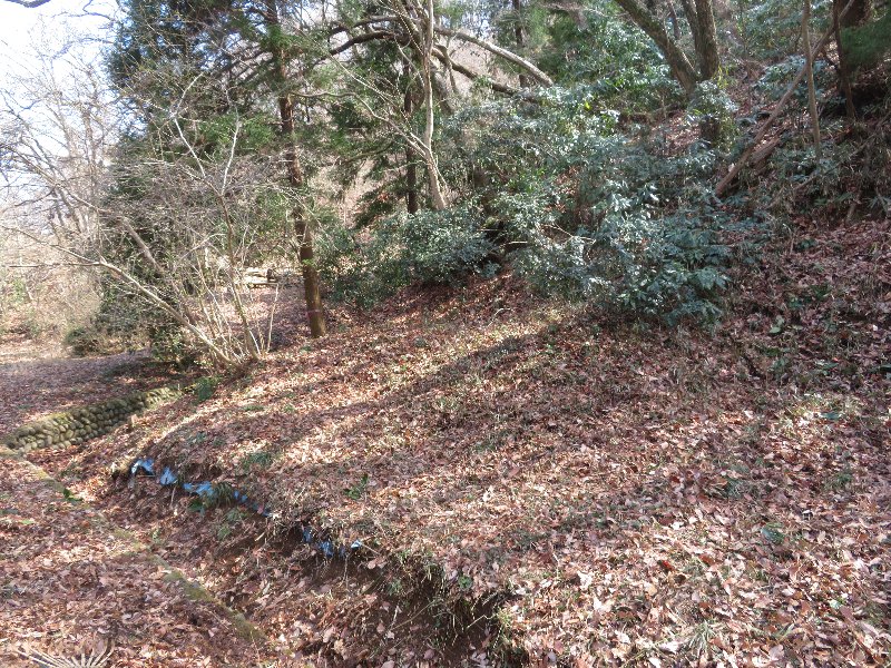 f:id:itablog:20190312120452j:plain