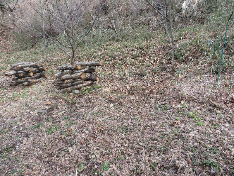 f:id:itablog:20190312132430j:plain