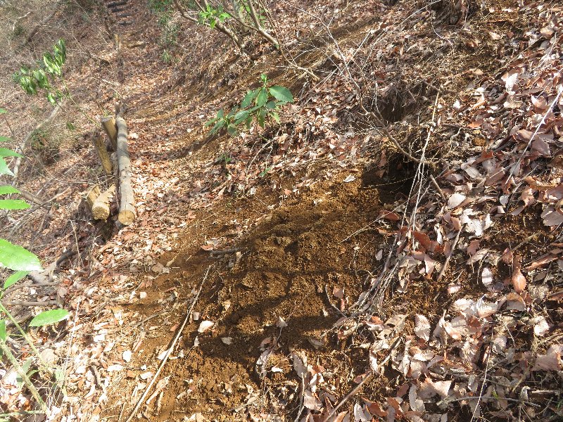 f:id:itablog:20190312134159j:plain