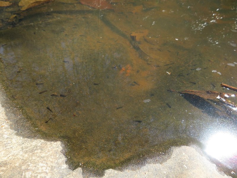 f:id:itablog:20190324103751j:plain
