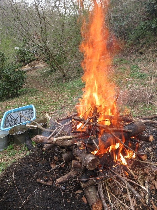 f:id:itablog:20190326103531j:plain