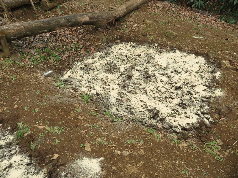 f:id:itablog:20190326113140j:plain